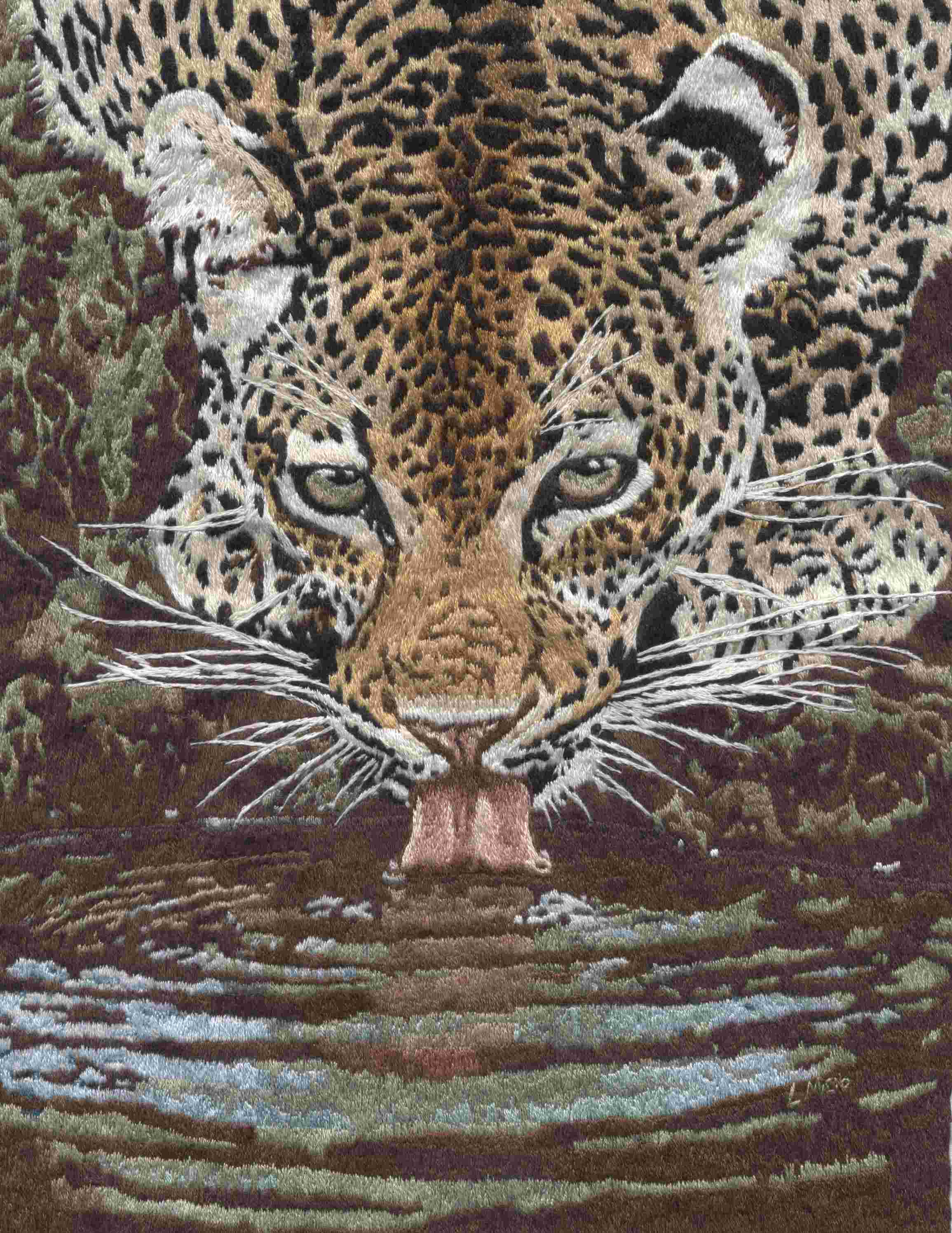 leopard.jpg